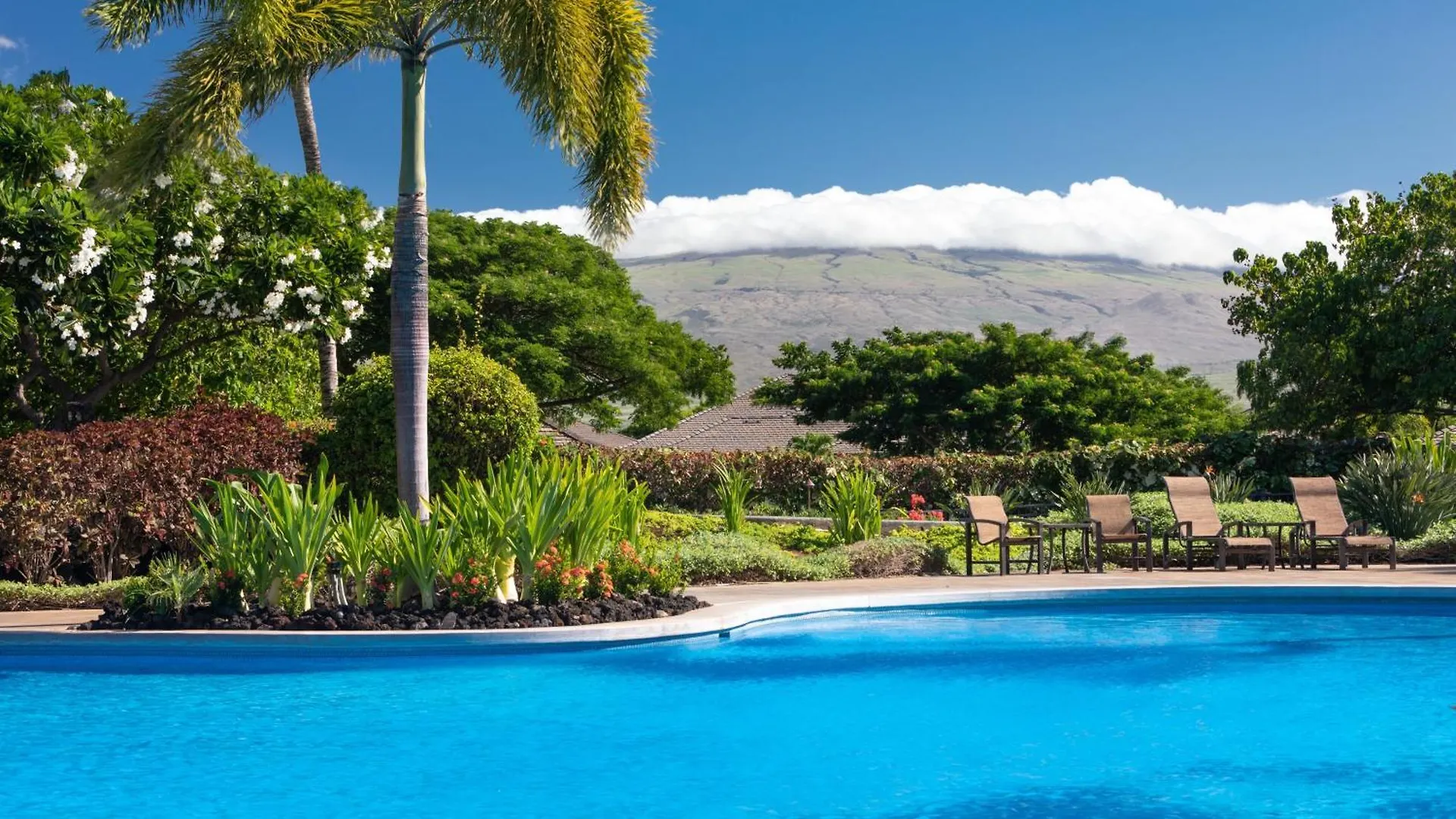 Sun Cottage Bright 3Br Kamilo Home Close To Pool Waikoloa Tatil Evi